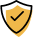 100% Secure Payment